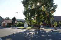 12_STC_Bus_sv_ po